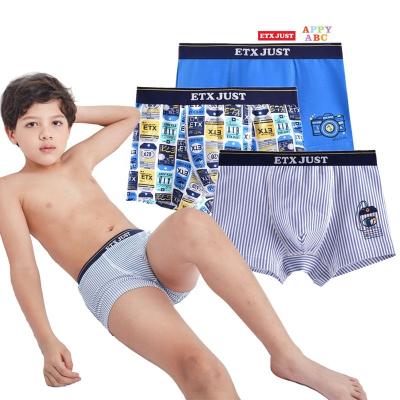 China Custom Antibacterial Logo Boxer Boy In Brief Private Underwear for sale