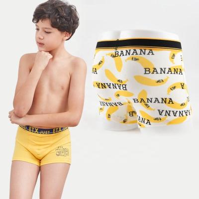 China Spring Breathable Fashion Ten Boys Seamless Underwear Briefs 12 Years Sold for sale