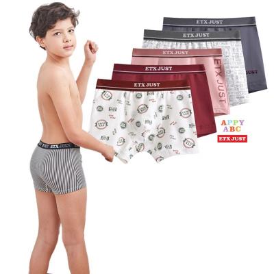 China Spandex/Cotton Fashion Print Teen Boys Wearing Panties Soft Cotton Panties Kids Teen Underwear for sale