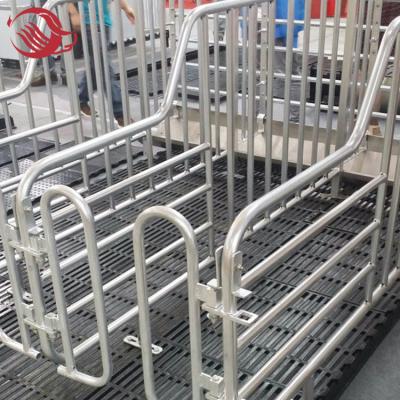 China For reserved sow pig farm gestation crate for sow for sale