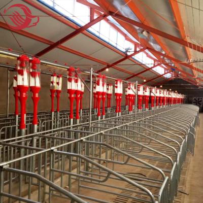 China Farms Pigs Farming Designed Hot Galvanized Gestation Stall , Gestation Crate for sale