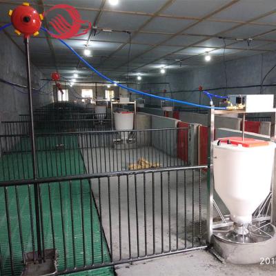 China For finished pig sty cage/organic pig farming/breeding crate for wholesale pigs for sale