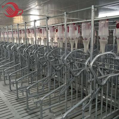 China 2021 Farms Pig Farm Gestation Crates On Sale for sale