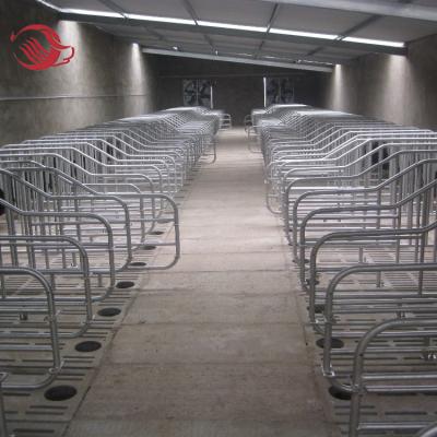 China Farms Pig Gestation Crate, Pig Farm Stalls, Seeds Gestation Crate for sale