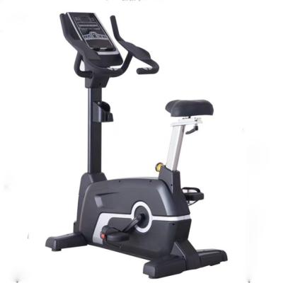 China Customizable Frame Color Befreeman Magnetic Upright Exercise Bike for Cardio Training for sale