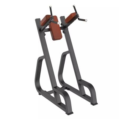 China Indoor Bodybuilding Vertical Knees Up/Dip Strength Trainer for Space-Saving Solution for sale