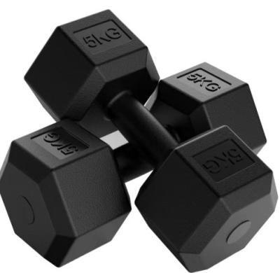 China Customized Logo Hex Rubber Coated Dumbbells for Home Gym Fitness Equipment 2.5kg-50kg for sale