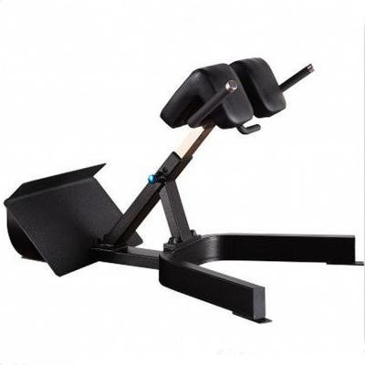 China Gym Center 45 Degree Back Extension Machine Roman Chair for Building a Stronger Back for sale