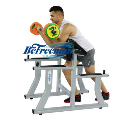 China Unisex Bicep Curl Exercise Free Weight Dumbbell Arm Strength Training Bench Rack Stand for sale