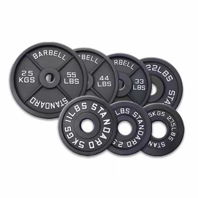 China Professional Cast Iron Weight Plates for Strength Training Unisex Home Gym Equipment for sale