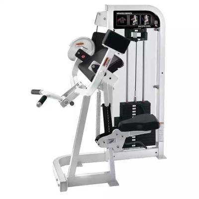 China Steel Strength Machine Biceps Curl Seated Bicep Curl Machine by Befreeman for Gym for sale