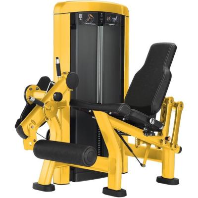 China Welding TIG Welding Technology Leg Extension and Curl Gym Equipment for Commercial for sale