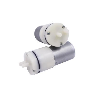 China Customerized Mini Air Pump 370 Silent Electric Vacuum Sucker Massager Pump Special Pump for sale