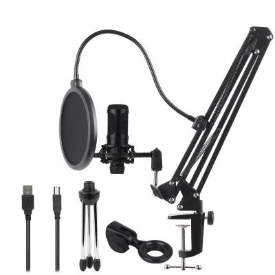 China USB Microphone Price Type C Model Best Easy Handling Para Microphone Kit With Fit Arm Stand for sale