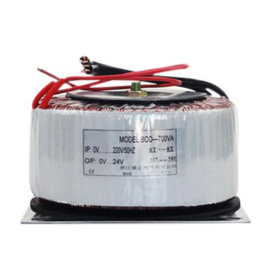 China Low Loss Buy 380V 220V 24V 12V 50Hz 60Hz 250VA Step Down Toroidal Transformer For Amp for sale