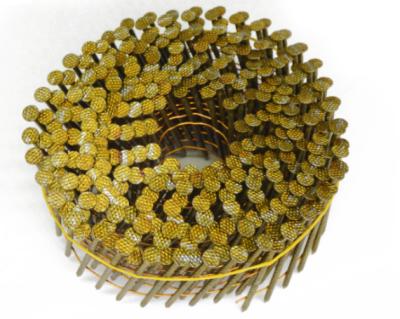 China Assembled Flat Wire Coil Nail Galvanized Or Painted Coil Roofing Nails For Pallets Nail for sale