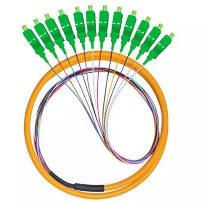 China WHB&R 12 Core Pigtail Fiber Optic Patch Cord 3mm 1 Meters SC-UPC With Factory Prices Te koop