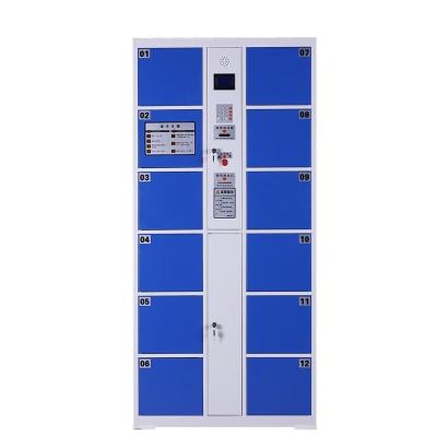 China Mordern Safe Electronic Parcel Locker Delivery Parcel Locker Touch Screen Smart Locker for sale