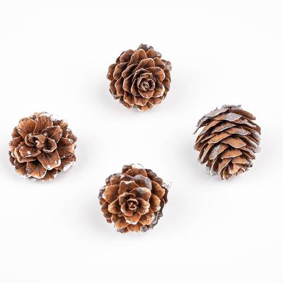 China Simulation Christmas supplies simulation pine cones small decorations toys Christmas decorations for sale