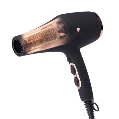 China Best Quality Ionic Hair Dryer Set Negative Revair Ion Electric Hair Dryer Hair Dryer for sale