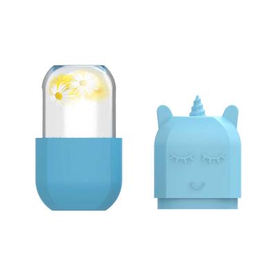 China Whitening Face Facial Facial Massager Ice Cube Silicone Mold Ice Tool Care Bypass Cube for sale