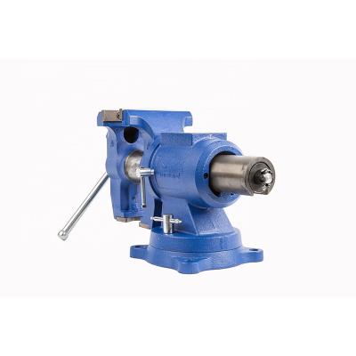 China Industrial Hand Tool Handle or Screw Head High Quality Manufactured Gray Bench Vise DT08125 for sale