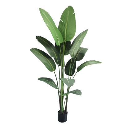 China Wholesale Artificial Fake Bonsai Plant PE Strelitziaceae Potted Plant Used For Home Decor Artificial Potted Plant for sale