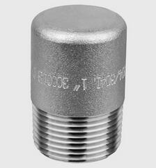 China Duplex Steel Thread Plug NPT Threaded Steel Pipe Fittings Oil Proof for sale