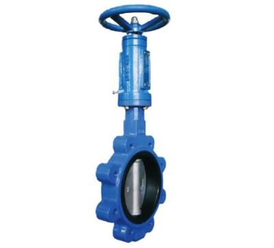 China PN10 Cast Steel Valves Center Boat Worm Gear Lug Butterfiy Valve for sale