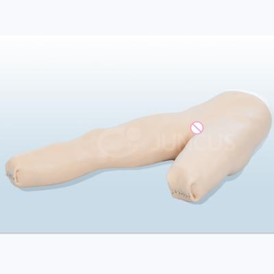 China hospital & Universities & School for advanced model of physical examination training bandage the bottom for sale