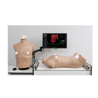 China hospital & Universities & School for physical examination training intelligent physical examination thorax online abdomen editing simulation training system for clinical diagnoses for sale