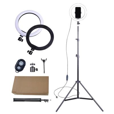 China Ture Good Quality Adjustable Light Tik Tok Video Sefile Flexible And Ring Lights For Girls Adjustable 10 Inch Sufficiency for sale