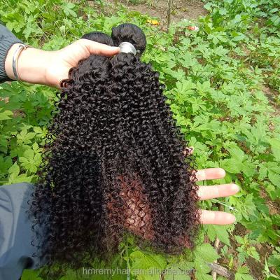 China Cuticle Aligned.No Gray Raw Cuticle Aligned Hair,Grade 10A Hair Weave Bundle Vendors,Mink Brazilian Hair Bulk Unprocessed Virgin Hair Wholesale for sale