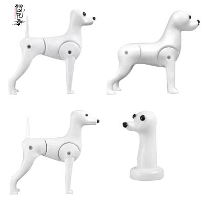 China Pet Beauty School Practice Model Skeleton Bichon Dog Teddy Bear Viable Practice Model Must Be Used With Fake Hair For Teaching Display for sale