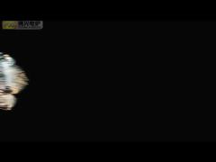 PIT TYPE FUENACE