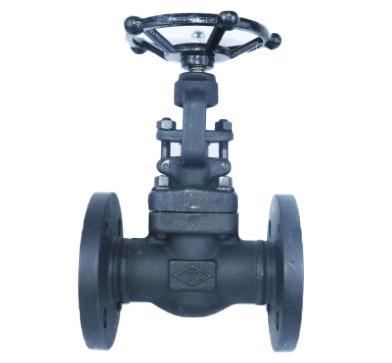 China High quality general type valve globe flange class300 A105 globe valve in China for sale