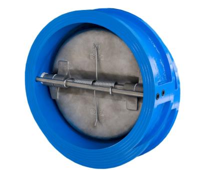 China General High Quality DN65 Valve Wafer Check Valve Cast Iron For Water for sale