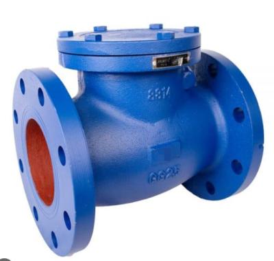 China The general check valve swing type in China the water valve industry non to return type for sale