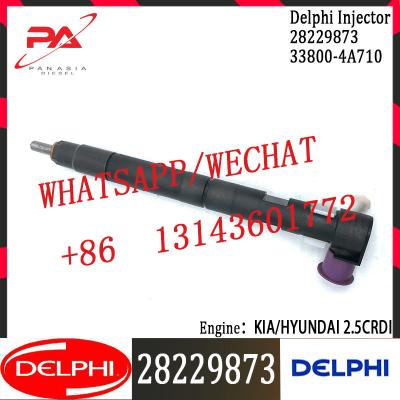 Chine injecteur de gazole 33800-4A710 28229873 pour Hyundai KIA 2.5CRDI Mobis Starex Del Phi 28229873 à vendre