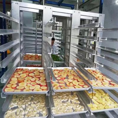 China Food Vacuum Dehydrator Industrial Freeze Dryer Price For Industrial Food Freeze Drying Process zu verkaufen