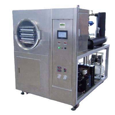 Chine 1m2 Small Freeze Dryer Lyophilizer for Food à vendre