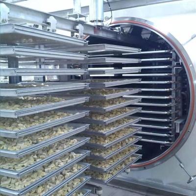 China Industrial Freeze Dryer/Fruit and Vegetable Vacuum Freeze Dryer for Milk/Coconut Milk for sale