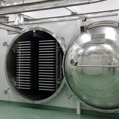 China Freeze Dryers for Juices Freeze Dryer Food Drying Machine Honey Medium-sized Machine for sale