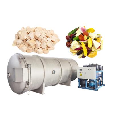 China Industrial Dehydrator For Food Fruit And Vegetable Vacuum Freeze Drying Machine for sale