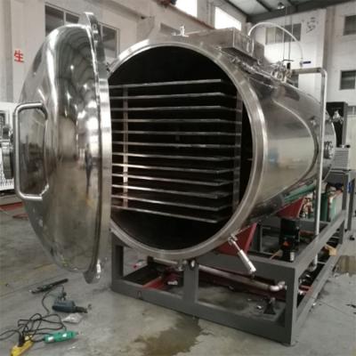 中国 Medical Equipment Industrial Freeze Drying Herbal Dryer 販売のため