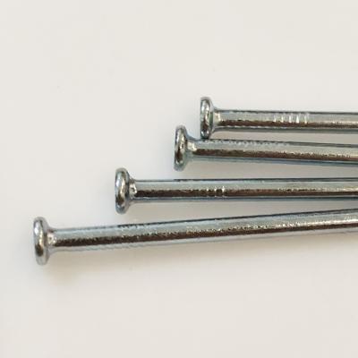 China MS Flat Wire Nails Galvanized Diamond Point Common Nails White To Building Construction for sale