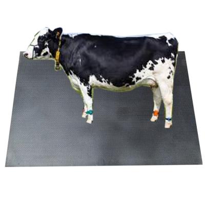 China Horse Anti-Slip Anti-Skid Mat Cow Stable Rubber Mat from Mytest for sale