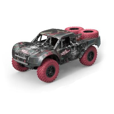 China RC Model 20 Scale 1:20 Scale Car 4WD Remote Control High Speed ​​Toy Rally RC Vehicle Electric Truck for sale