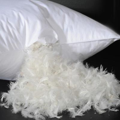 China Wholesale Inflatable Hotel Bedding Down Feather Hotel Neck Face Filling Goose Down Pillow for sale