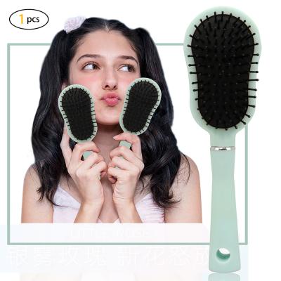 China Lirong Hair Brush Waterproof Professional Custom Logo Thin Nylon Bristle Detangling Wet Plastic Hair Brush for sale